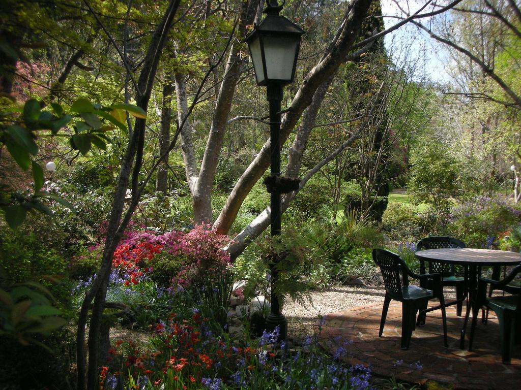 快乐会面小屋 布赖特 客房 照片